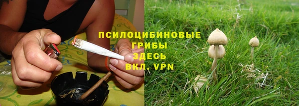 мяу мяу мука Алексеевка