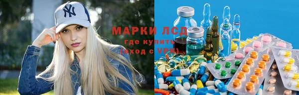 мяу мяу мука Алексеевка